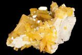 Wulfenite Crystal Cluster - La Morita Mine, Mexico #149983-2
